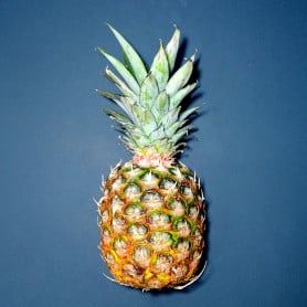 Ananas