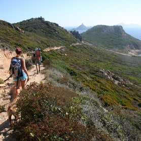 Maquis corse