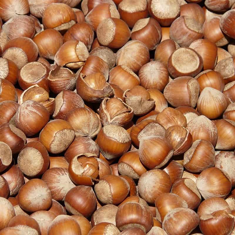 Noisette - Parfum pour bougies Parfum volume 30 ml Noisette - Parfum pour bougies Parfum volume 30 ml