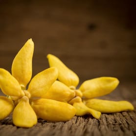 Ylang-ylang