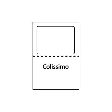 Etiquette d'expédition Colissimo / Ups 170 x 120 mm